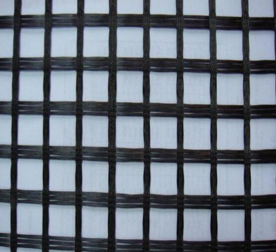 �p���w�������